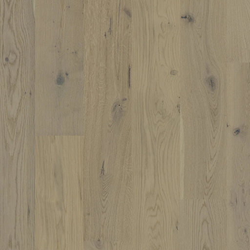 BIYORK - Nouveau 7 Prelude - Sandy Dream