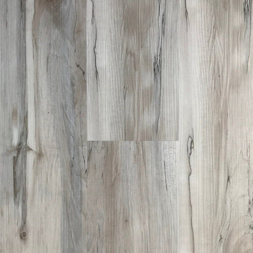 Simba - Universe Collection - Seaside