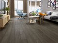BIYORK - Nouveau 6 Collection - Silver Fox