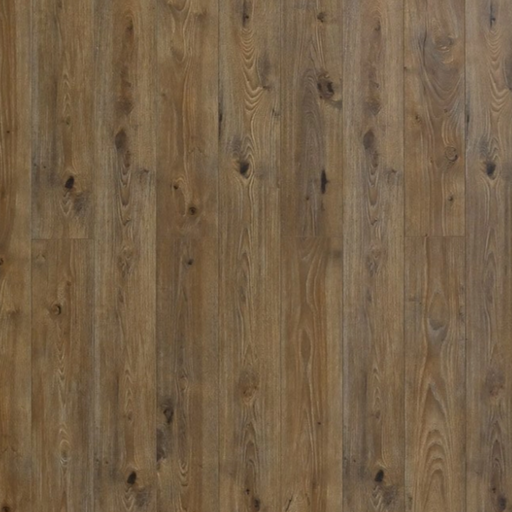 Toucan - Water Resistant Series - TF8002