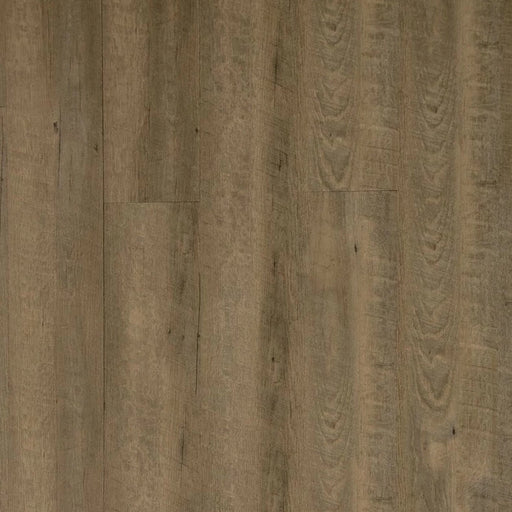 Toucan - TFL605 - Stonewood