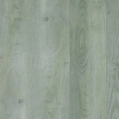 Toucan - TFL608 - Sea Horizon