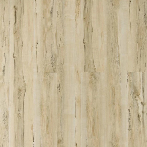 Toucan - TFL610 - City Loft