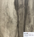 Toucan - SPC 203-F