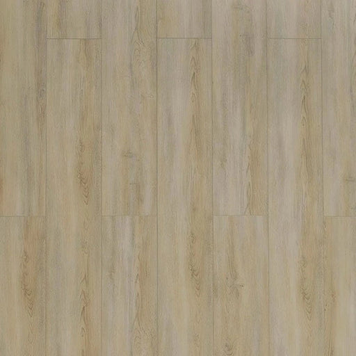 Toucan - SPC 400 Series - TF SPC 403