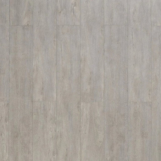 Toucan - SPC 400 Series - TF SPC 404