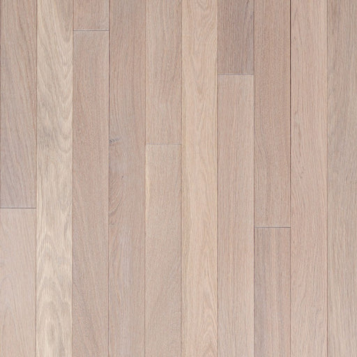 Wickham - Domestic Collection - Builder Grade - 3 1/4" - Ash - Taupe