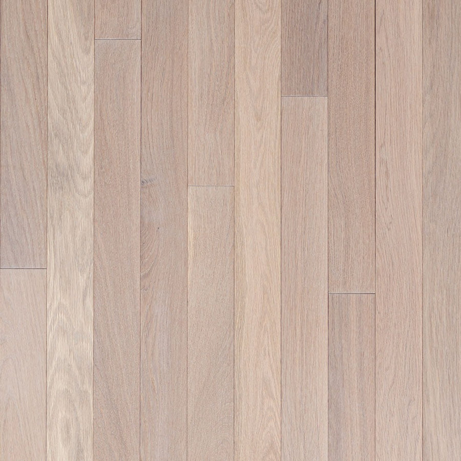 Wickham - Domestic Collection - Builder Grade - 3 1/4" - Ash - Taupe
