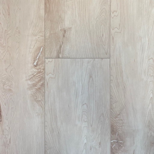 Simba - Galaxy Collection - Taurus