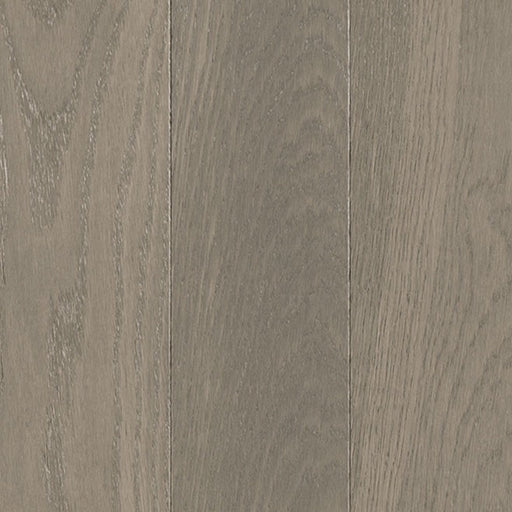 TORLYS -  SuperSolid 4 Series - Tavern