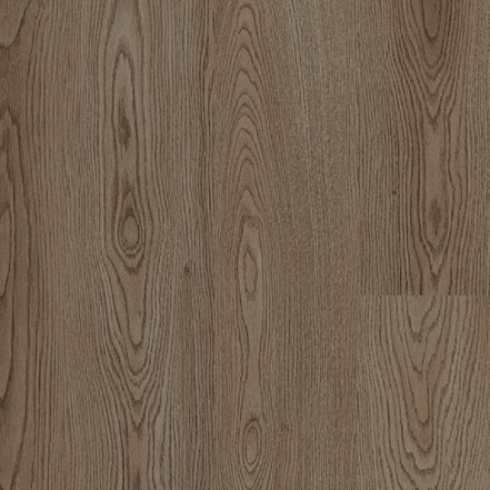 TORLYS - Rivera Collection - Toulon Oak