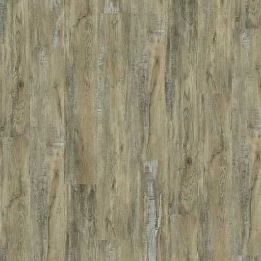 Harbinger - Quiet Zone Series - Tranquil