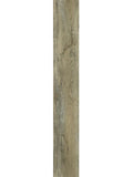 Harbinger - Quiet Zone Series - Tranquil