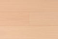 TORLYS - Everest XP Designer Plus - White Oak Natural R&Q