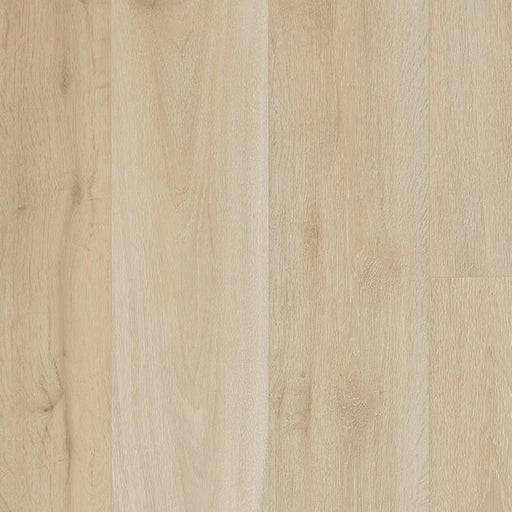 TORLYS - Leuco Collection - Willow Oak